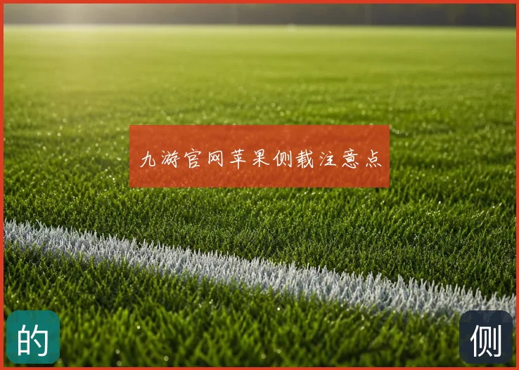 九游官网苹果侧载注意点