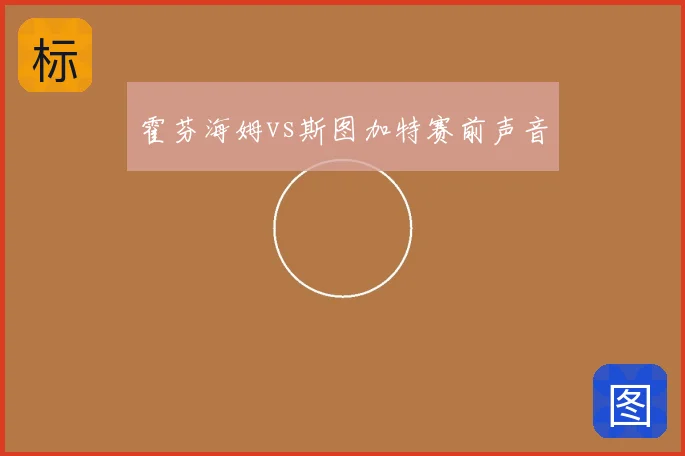 霍芬海姆vs斯图加特赛前声音